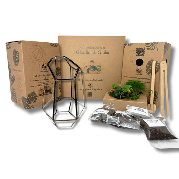 Kit Terrarium Géométrique Complet à Faire Soi-Même Florine