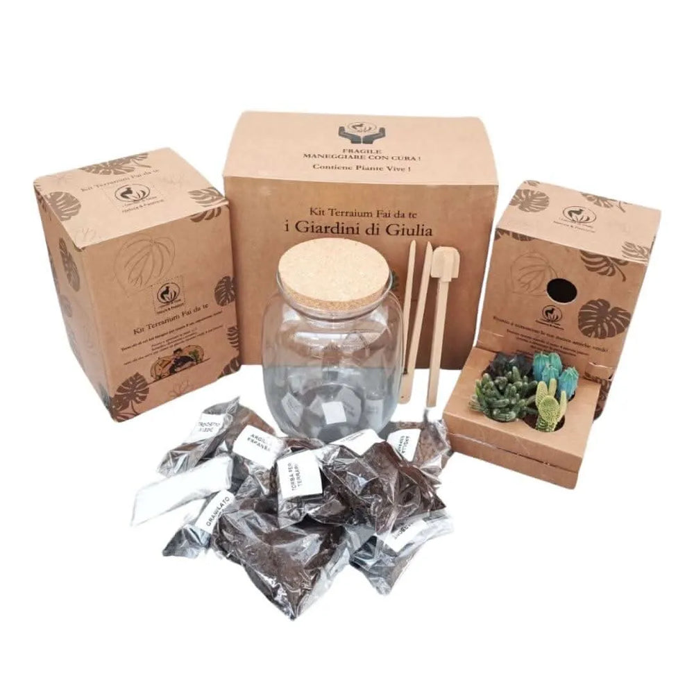 Kit terrarium completo - confezione e componenti del set da costruire