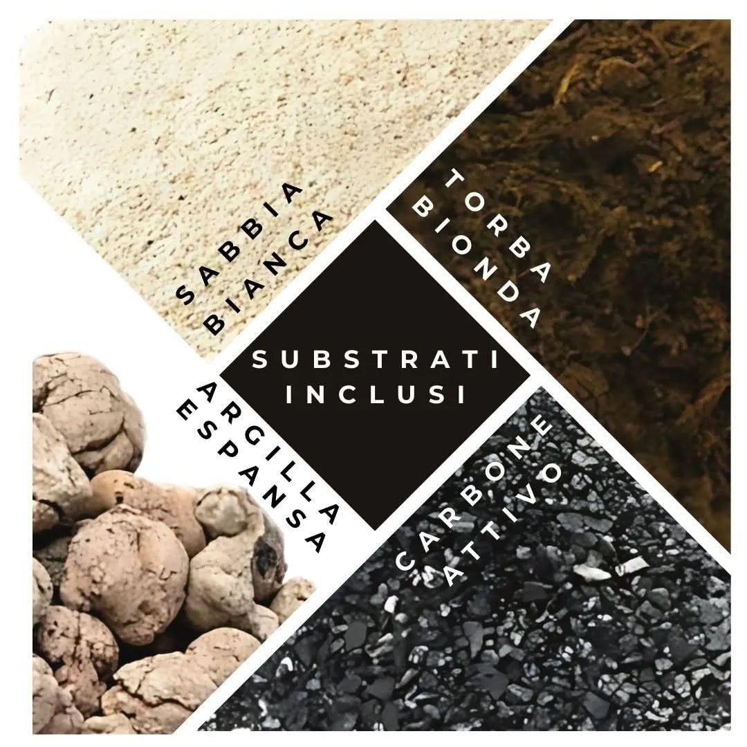 Substrati per terrarium: sabbia bianca, torba, argilla espansa e carbone attivo