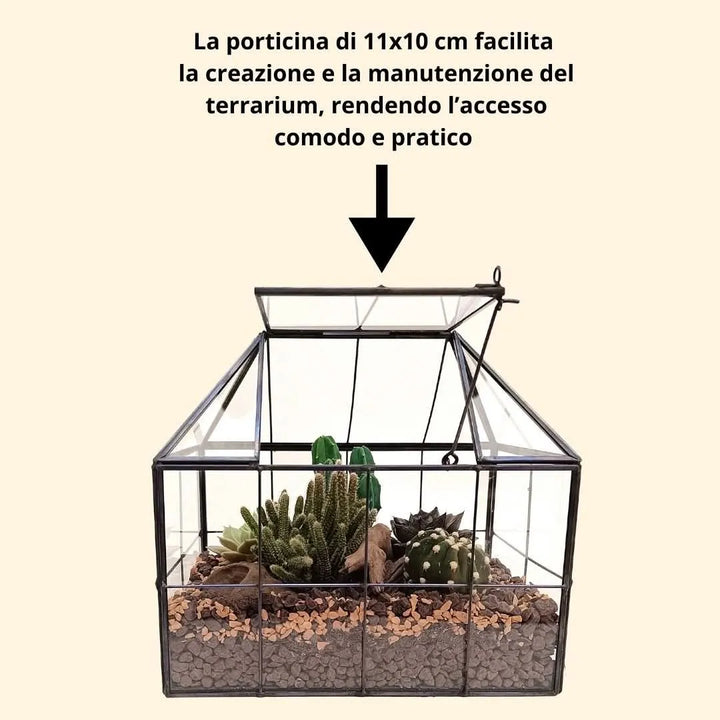 Terrarium geometrico assemblato con piante grasse e cactacee