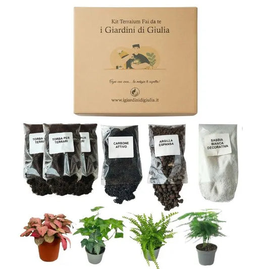 Kit Terrarium con Piantine - scatola del kit con fittonia e muschio