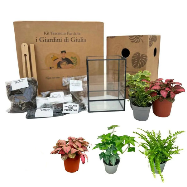 Kit Terrarium Geometrico Fai Da Te ADA | Crea il Tuo Giardino da Interno
