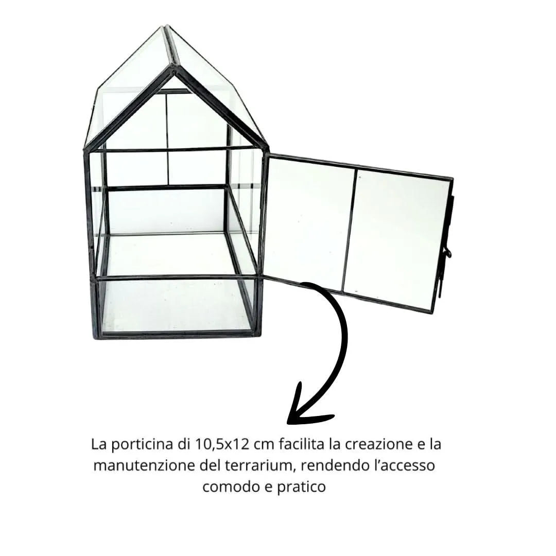 Contenitore in vetro geometrico per terrarium con sportellino apribile, ideale per piante grasse