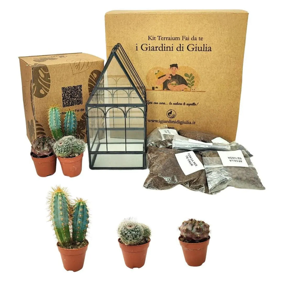 Kit Terrarium Fai Da Te con piante grasse in contenitore geometrico di vetro e ferro nero