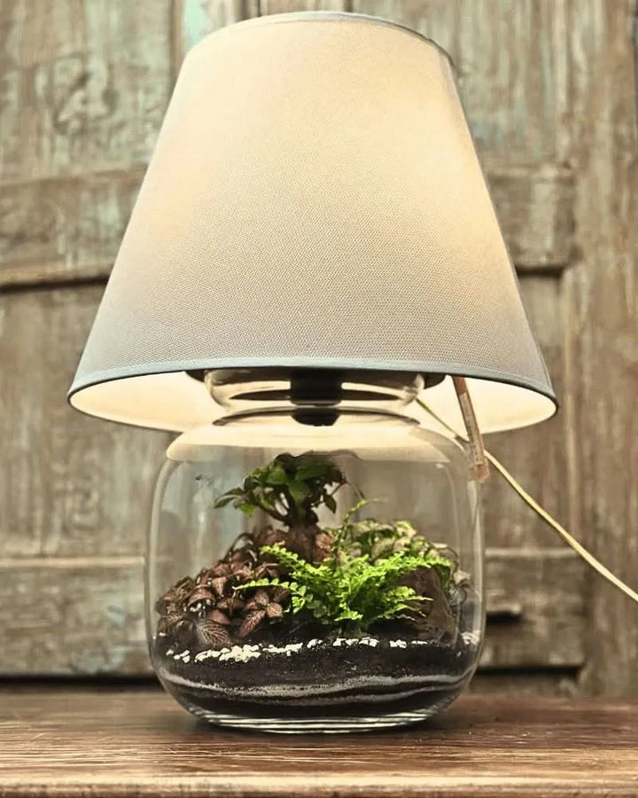 Terrarium Lamparium illuminato con piante verdi in ambiente interno