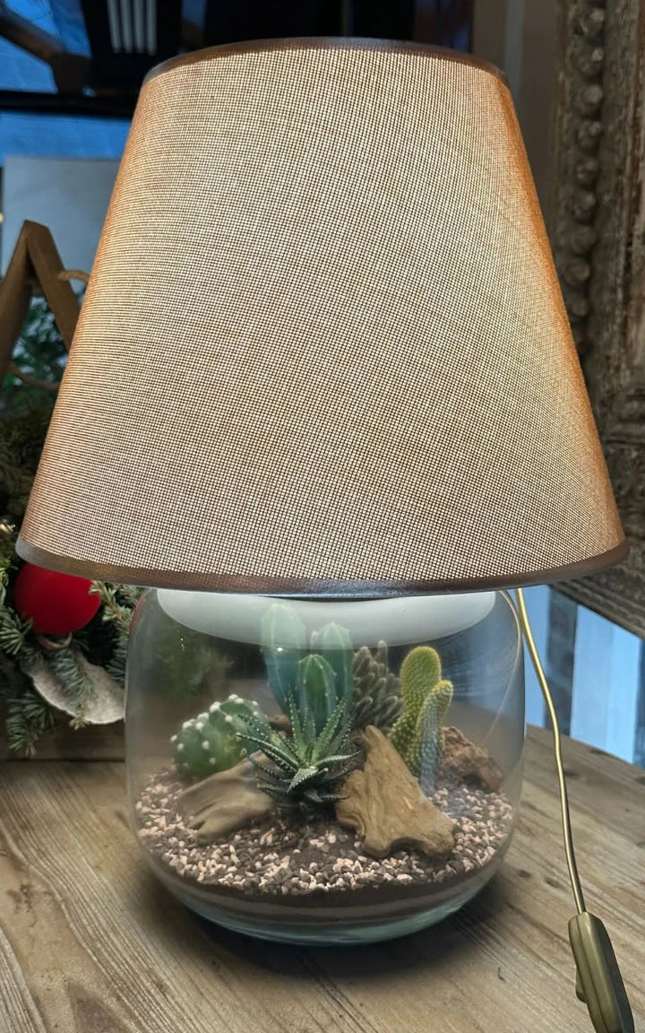 Terrarium Lamparium illuminato - piante grasse in primo piano