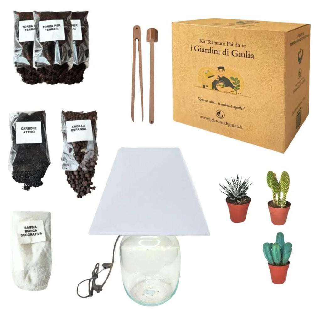 Contenuto completo del Kit Terrarium Lamparium: piante grasse, substrati e attrezzi