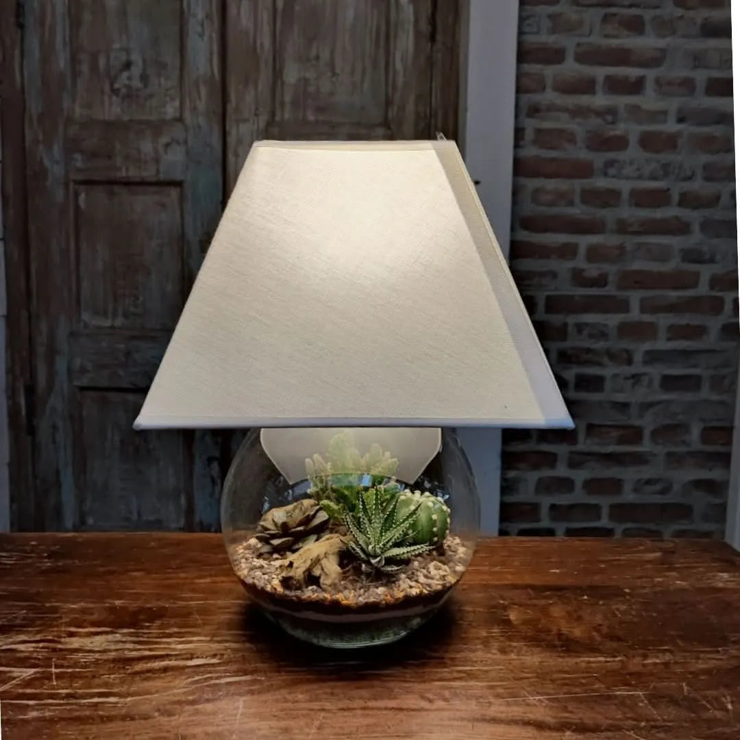 Terrarium Lamparium Medio finito con luce accesa, su tavolo in legno