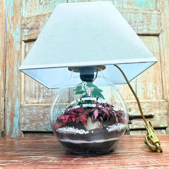 Lamparium decorativo con terrarium fai-da-te e piante verdi, vista frontale