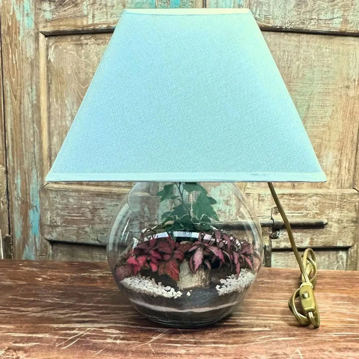 Vista laterale del Kit Terrarium Lamparium con paralume bianco e piante verdi