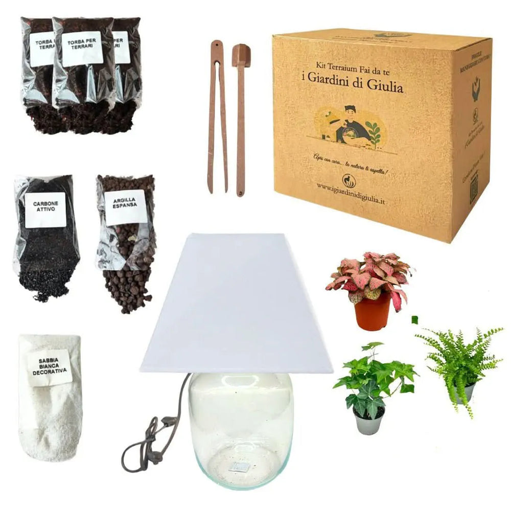 Terrarium Lamparium Medio con piante verdi su un comodino illuminato, dettaglio dell'illuminazione