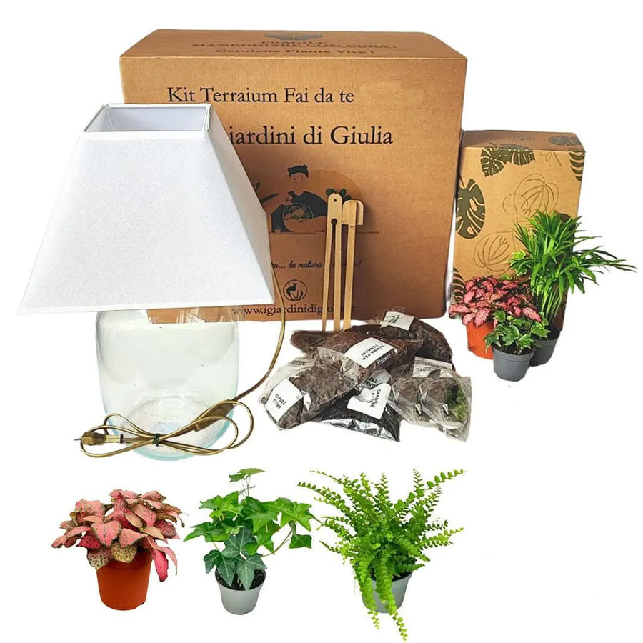 Kit Terrarium Lamparium Medio con piante verdi in un ambiente moderno e luminoso