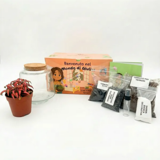 Kit terrarium fai da te per bambini - confezione del kit con elementi