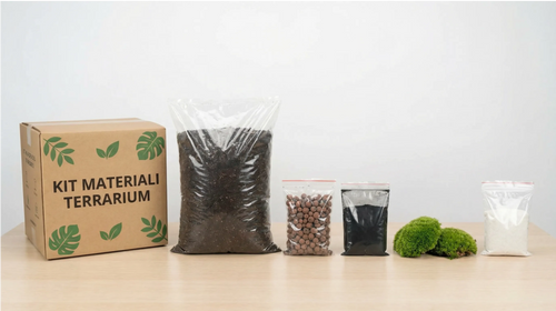 Kit Complet Matériaux Terrarium - Tout le Nécessaire pour Votre Projet