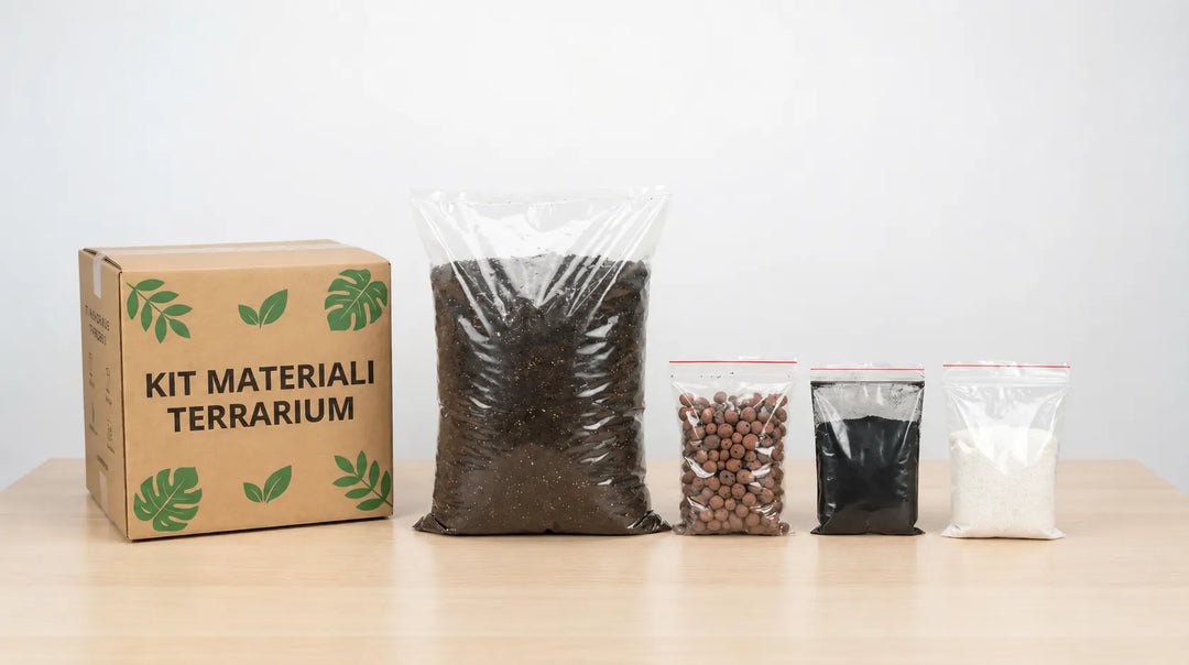 Kit Complet Matériaux Terrarium - Tout le Nécessaire pour Votre Projet