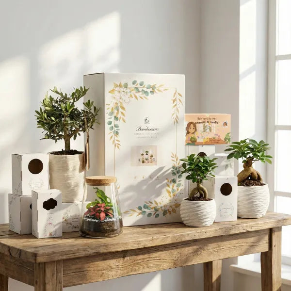 Bomboniere eventi originali - kit campioni con mini bonsai e terrarium