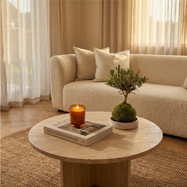 Bonsai Olivo - vista laterale con candela accesa e libro su tavolino, divano bouclé