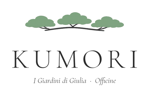 Bonsa Kumori