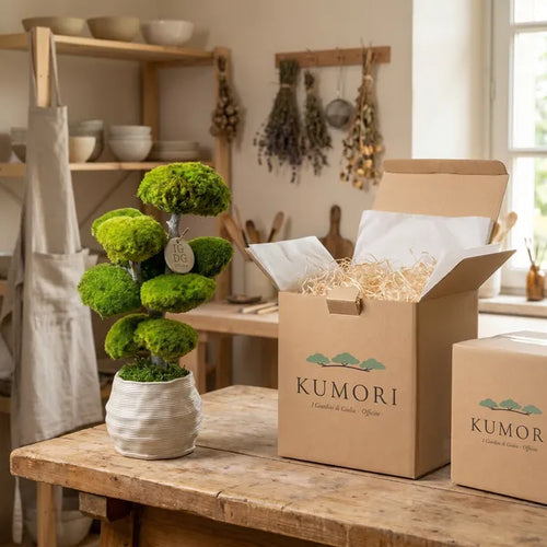 Bonsaï Kumori 35 cm. — Mousse stabilisée