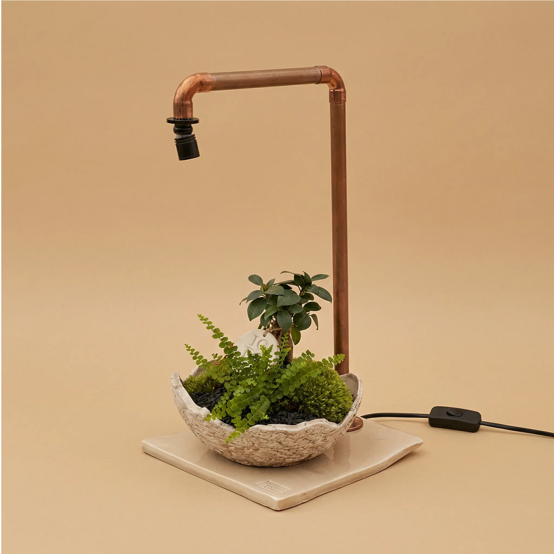 Lampada LED in tubo di rame con composizione bonsai Ficus, felce capelvenere, muschio verde e targhetta IGDG in ciotola ceramica artigianale su base quadrata in ceramica