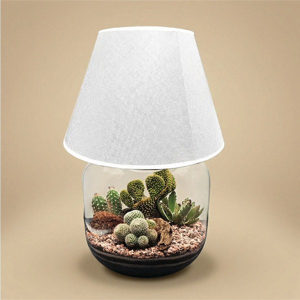 Terrarium Lamparium Martha Cactus
