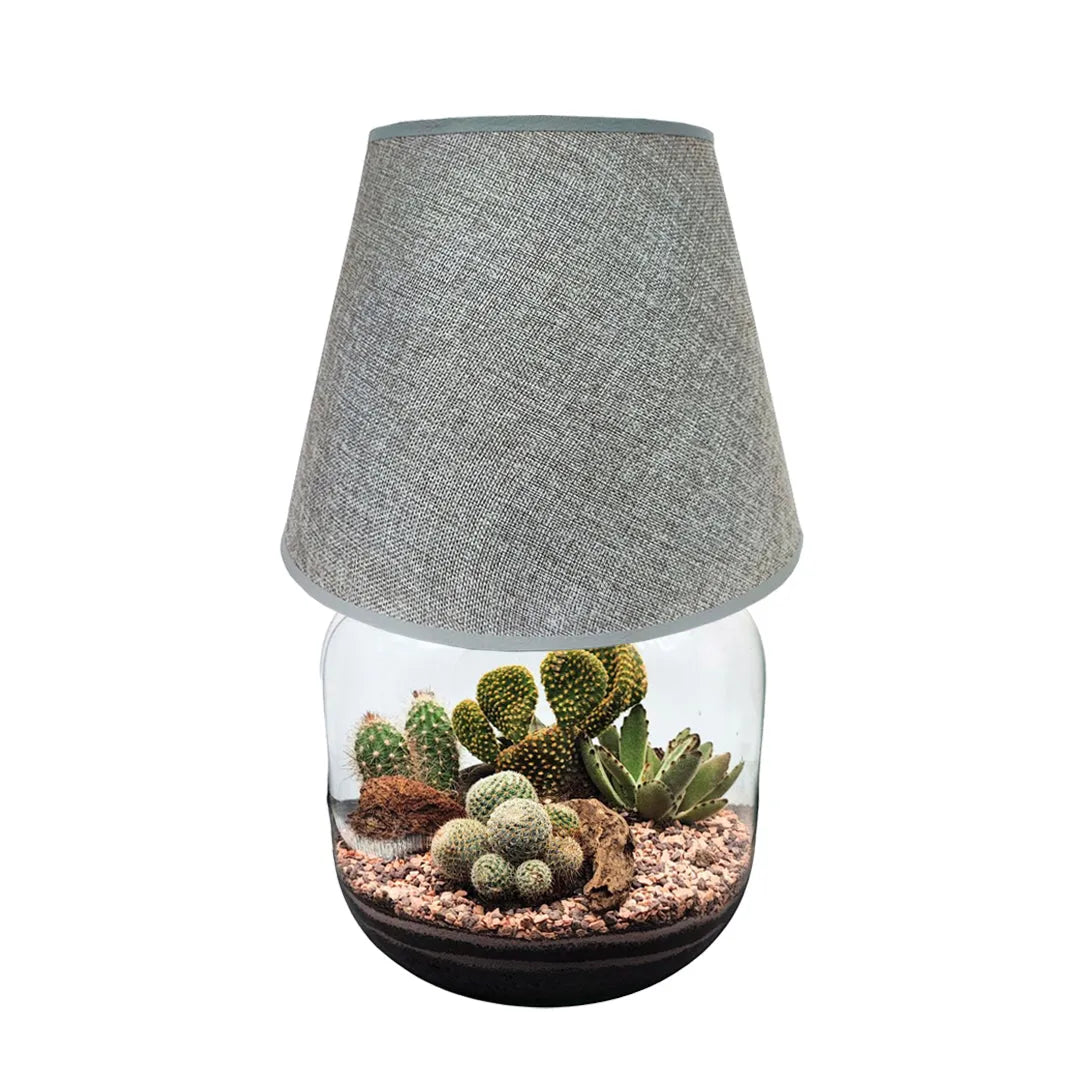 Terrarium Lamparium Martina Cactus - i Giardini di Giulia  
