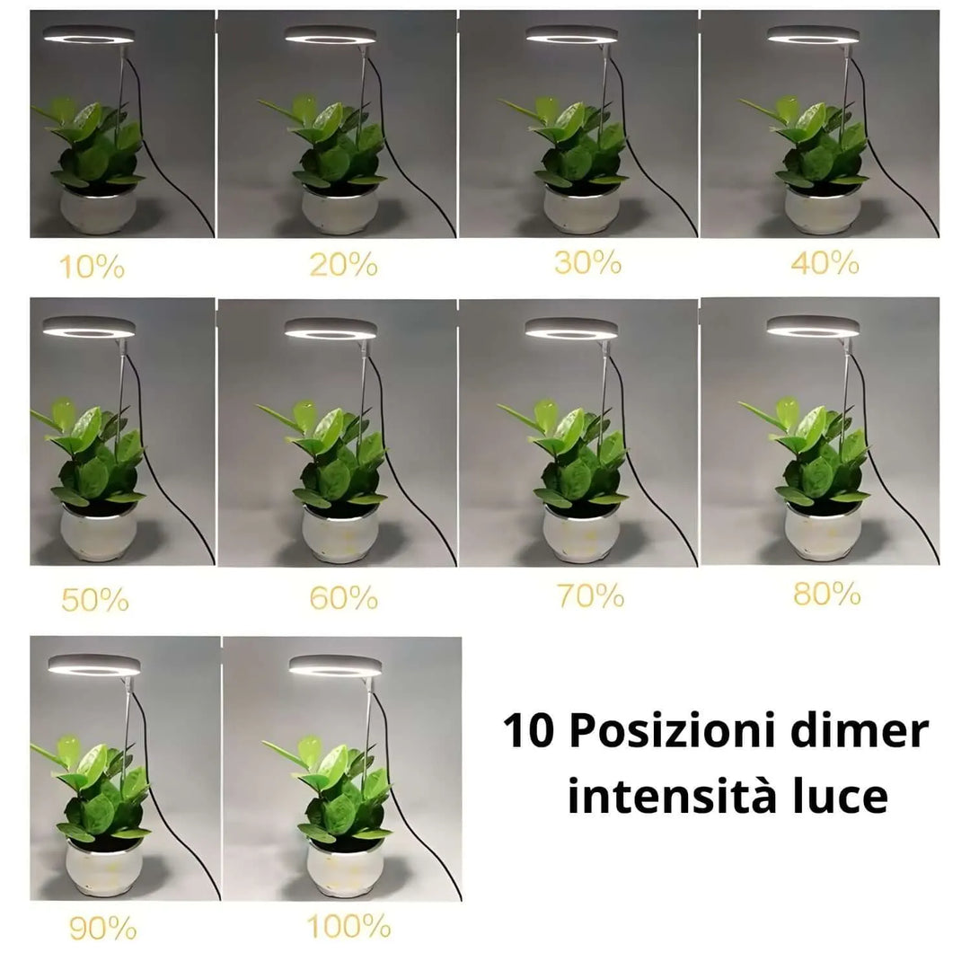 Lampada Per Piante / Illuminazione Per Piante Con 4 Tubi Fluorescenti A Led Flessibili 2 Pacchi 90978274 Lampada Per Piante / Illuminazione Per Piante Con 4 Tubi Fluorescenti A Led Flessibili 2 Pacchi 90978274