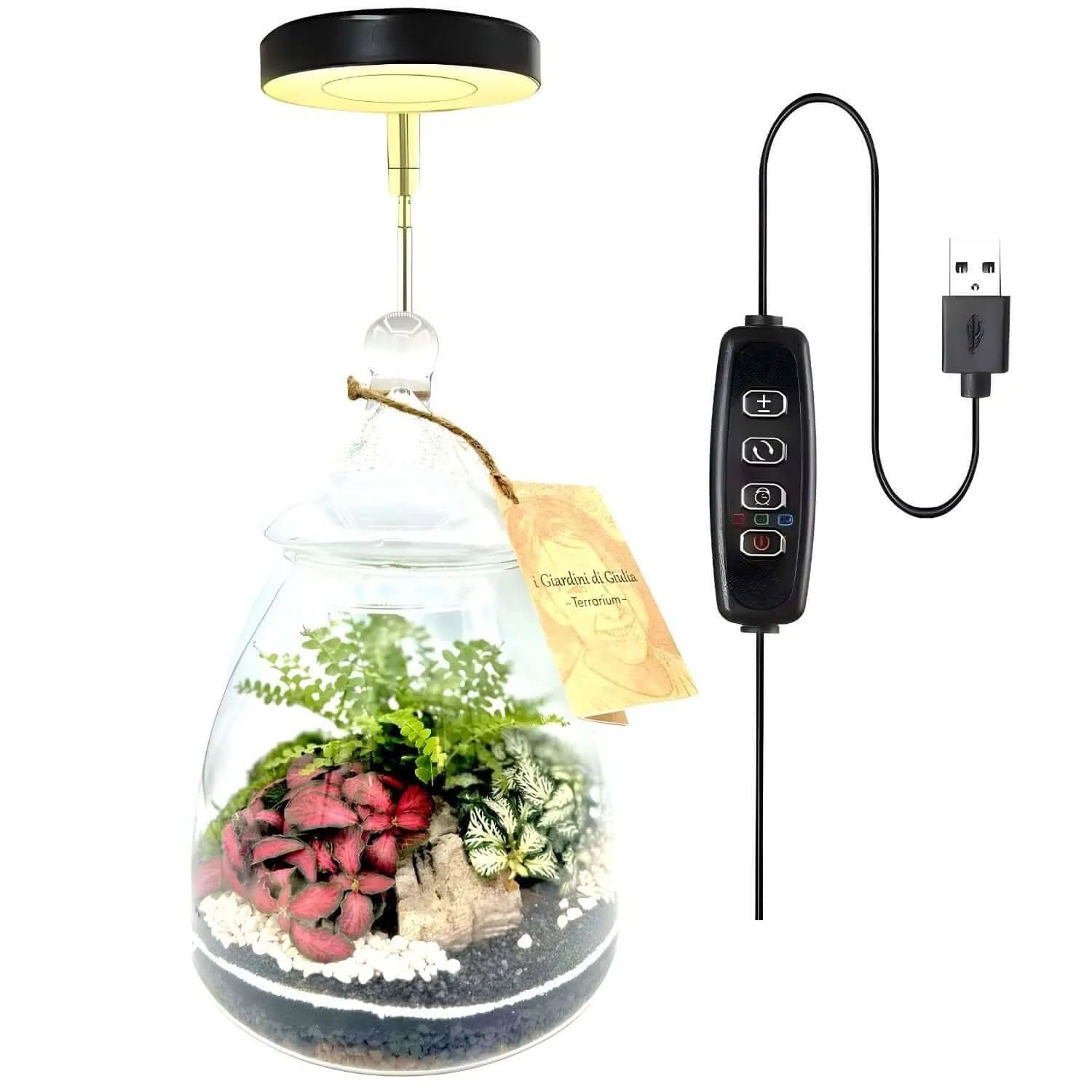 NUZAMAS Lampada per piante a 4 tubi, 80 LED, 4 teste, lampada per la crescita delle piante, lampada a LED dimmerabile, per piante da interno, giardinaggio, serra NUZAMAS Lampada per piante a 4 tubi, 80 LED, 4 teste, lampada per la crescita delle piante, lampada a LED dimmerabile, per piante da interno, giardinaggio, serra