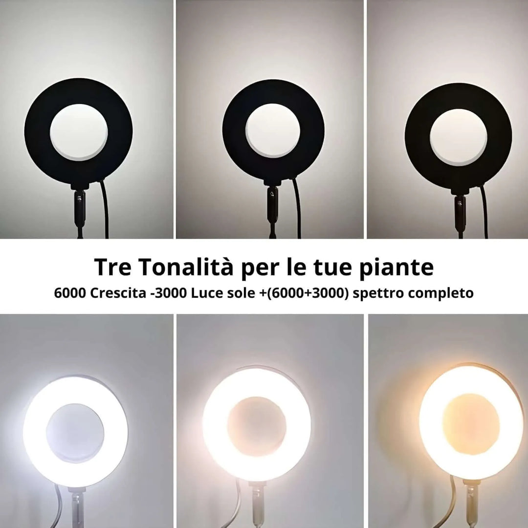 Scaffale Portapiante In Legno Carbonizzato Con Luce LED A Spettro Completo - 8 Livelli Regolabili - Timer E Luminosità Variabile - 3