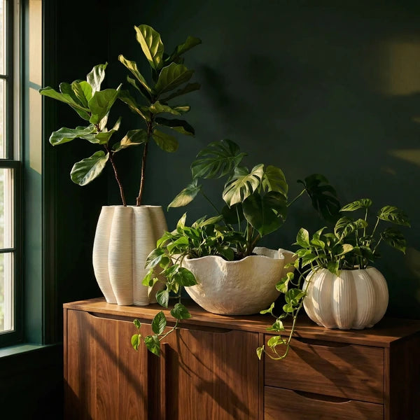 Ceramica