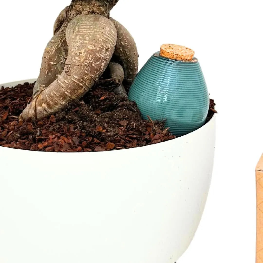 PICCOLA FIORIERA IN Ceramica Mini Vasi Per Piante Vaso Di Cartoni PICCOLA FIORIERA IN Ceramica Mini Vasi Per Piante Vaso Di Cartoni