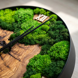 Nemus | Orologio Botanico in Muschio e Ulivo · 30 cm — vista 1