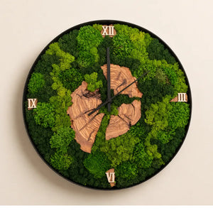 Nemus | Orologio Botanico in Muschio e Ulivo — vista 7