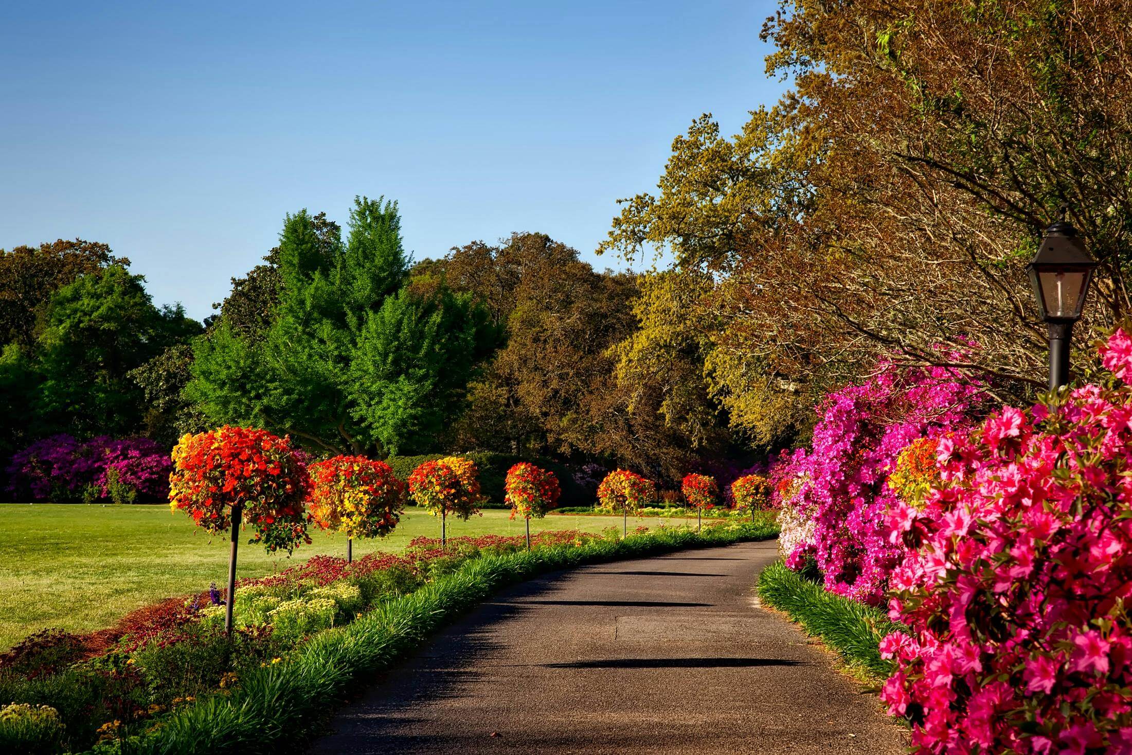 i Giardini di Giulia 