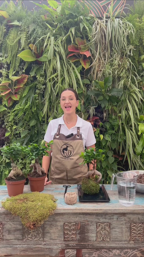 Crea il Tuo Kokedama di Bonsai Ginseng Facile!.mp4__PID:997e4854-83aa-475c-ba8f-867cdef134d7