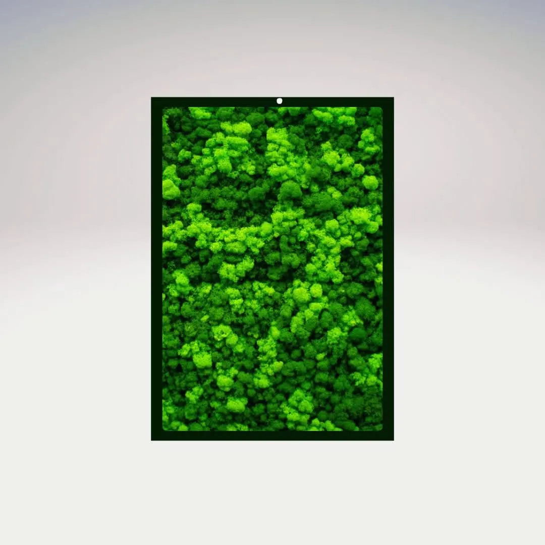 Quadro lichene stabilizzato rettangolare con cornice nera e dettaglio muschio