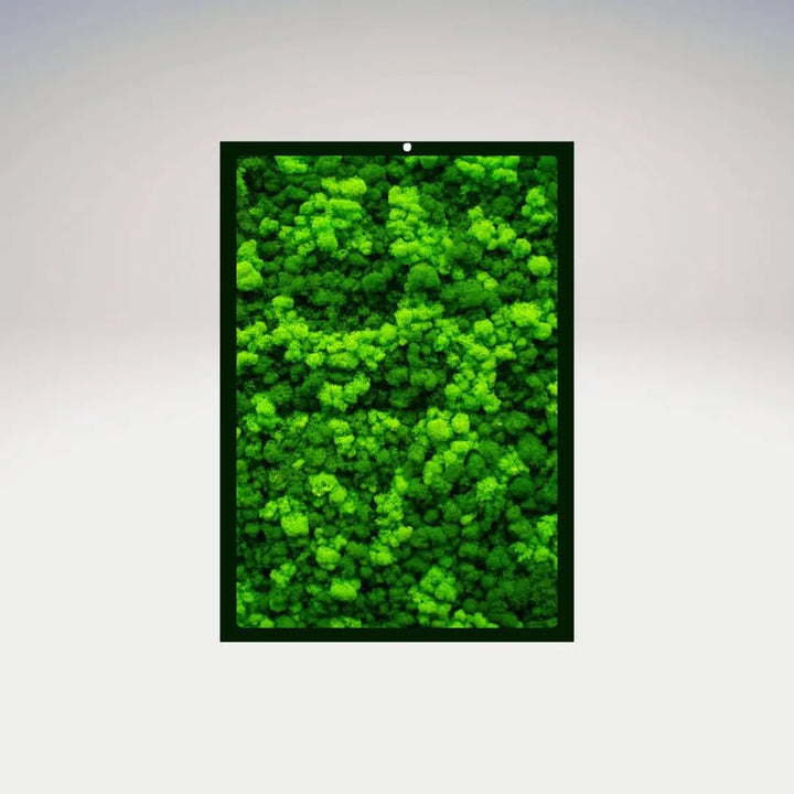 Quadro lichene stabilizzato rettangolare con cornice nera e dettaglio muschio