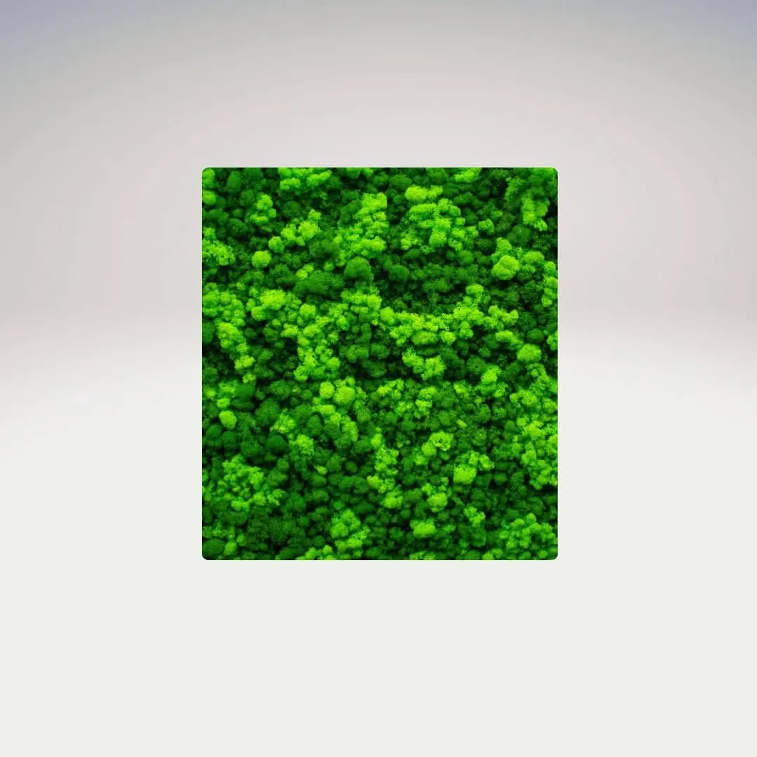 Quadro muschio stabilizzato rettangolare senza cornice su sfondo neutro