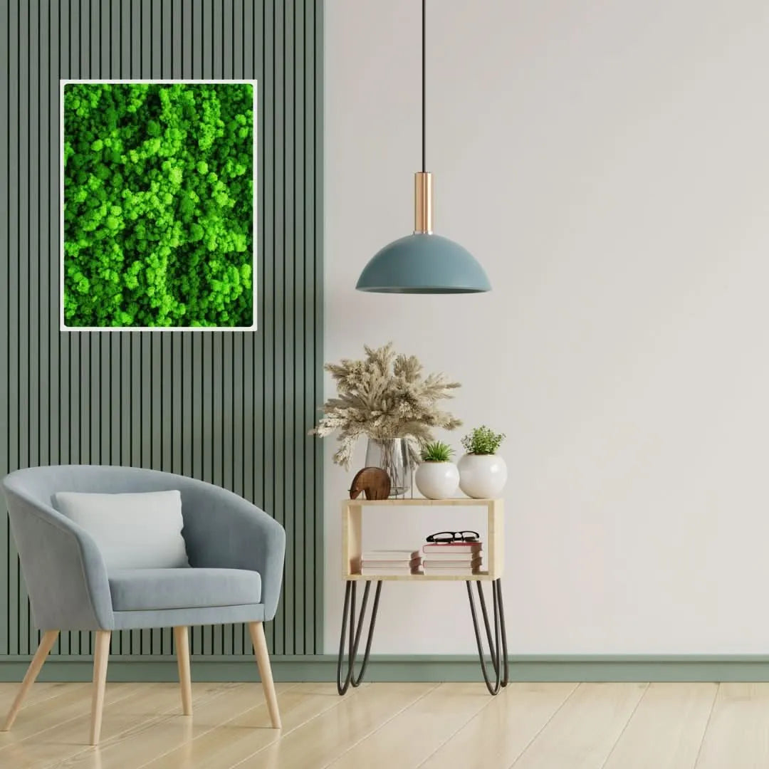 Quadro lichene stabilizzato rettangolare con cornice bianca su parete verde