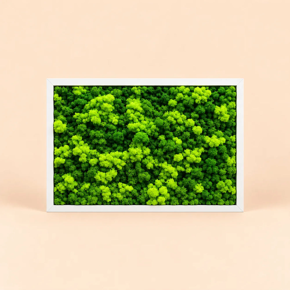 Quadro di licheni stabilizzati 45x33 cm con cornice bianca, verde stabilizzato naturale senza manutenzione