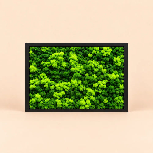 Quadro rettangolare di licheni stabilizzati 45x33 cm con cornice nera, licheni verde chiaro e verde scuro su sfondo neutro