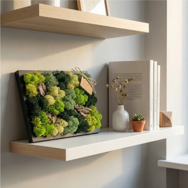 Quadro mini di muschio e licheni stabilizzati 21x27 cm su una mensola in legno in un ambiente moderno
