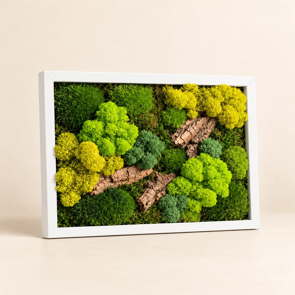 Quadro di muschio e licheni stabilizzati 33x24 cm con cornice bianca e inserti di corteccia naturale