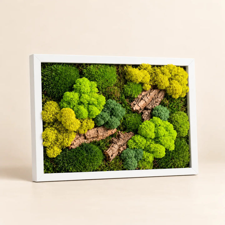 Quadro di muschio e licheni stabilizzati 33x24 cm con cornice bianca e inserti di corteccia naturale