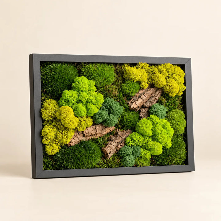 Quadro di muschio e licheni stabilizzati 33x24 cm con cornice nera e inserti di corteccia naturale