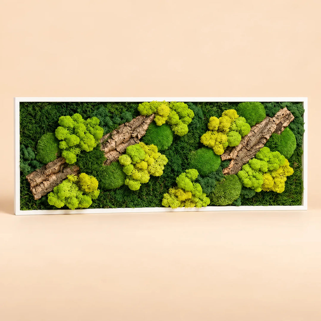 Quadro rettangolare 93x33 cm in muschio e licheni stabilizzati con sughero e cornice bianca