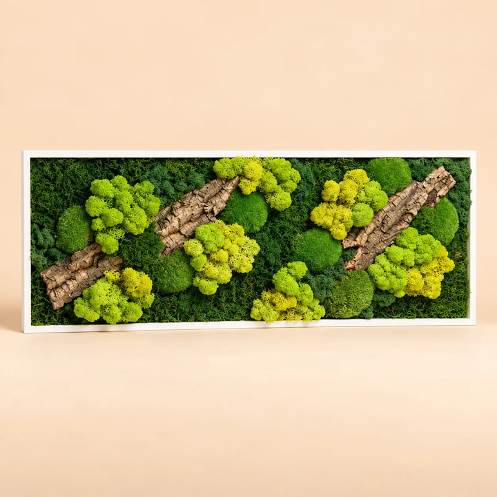 Quadro rettangolare 93x33 cm in muschio e licheni stabilizzati con sughero e cornice bianca