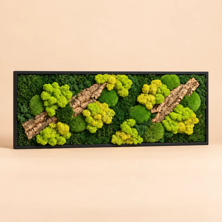 Quadro rettangolare 93x33 cm in muschio e licheni stabilizzati con inserti in sughero e cornice nera