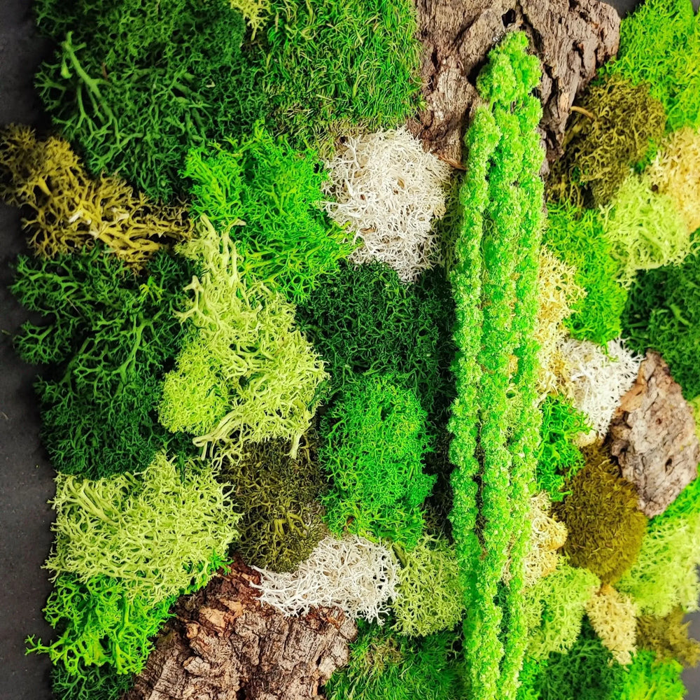 Dettaglio ravvicinato del quadro con licheni stabilizzati e corteccia naturale