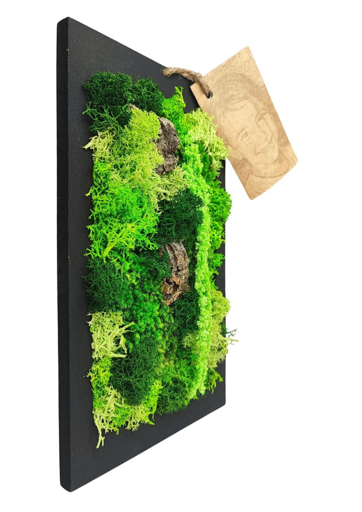 Rectangular mini frame of preserved moss and lichen with gift box